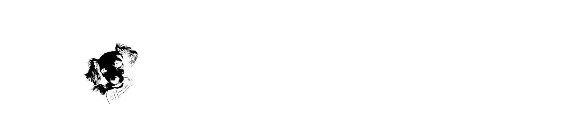 RJ Tax Consulting